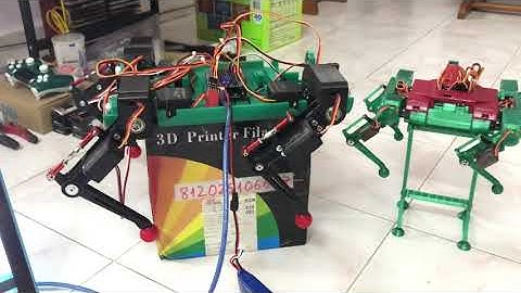 First test SpotMicro Dog