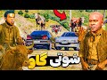 شوتی گاو شدم در جی تی ای بزنیم تو قاچاق گاو در GTA V شوتی گاو شدم در جی تی ای بزنیم تو قاچاق گاو در GTA V