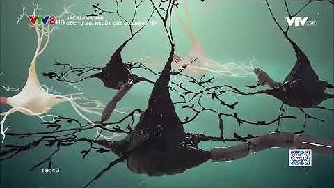 VTV8 - Gốc Tự Do là gì? Tác hại của Gốc Tự Do đối với con người