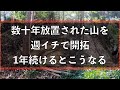 【総集編】会社員がゼロから山開拓!毎週末を捧げるとここまでできる!