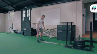 Sled Squat and Row