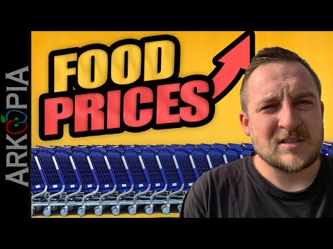 5 to 100 food price increase in 2023 What to do about it