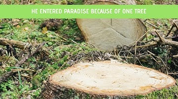 He entered Paradise because of one tree