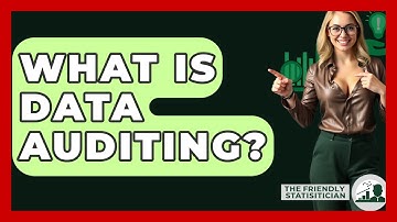What Is Data Auditing? - The Friendly Statistician