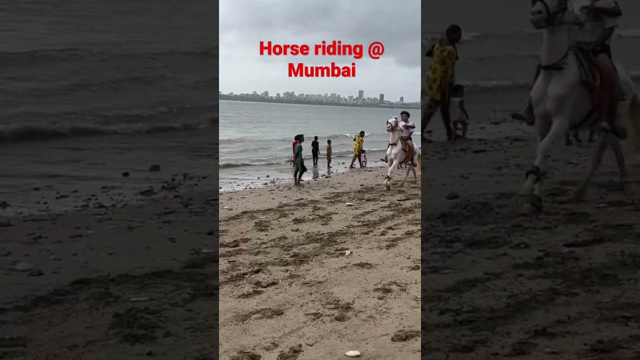 Horse riding @Mumbai 