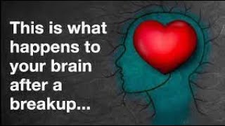 Unveiling Heartbreak: Uncovering the Surprising Science of Breaking Up
