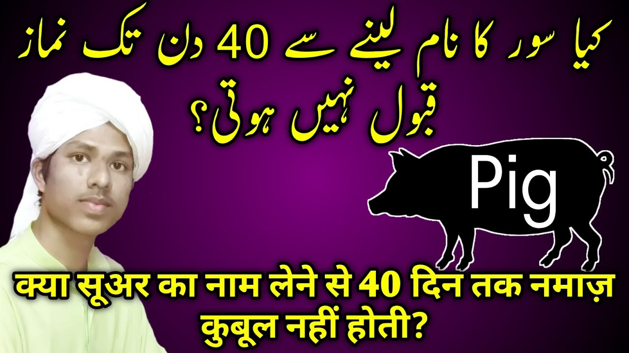 Suar Ka Naam Lene Se Kya Hota Hai - Kya Suar Ka Naam Lena Haram Hai - Pig In Islam - Suar In ...