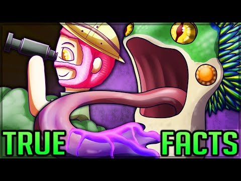 True Facts: PukeiPukei!