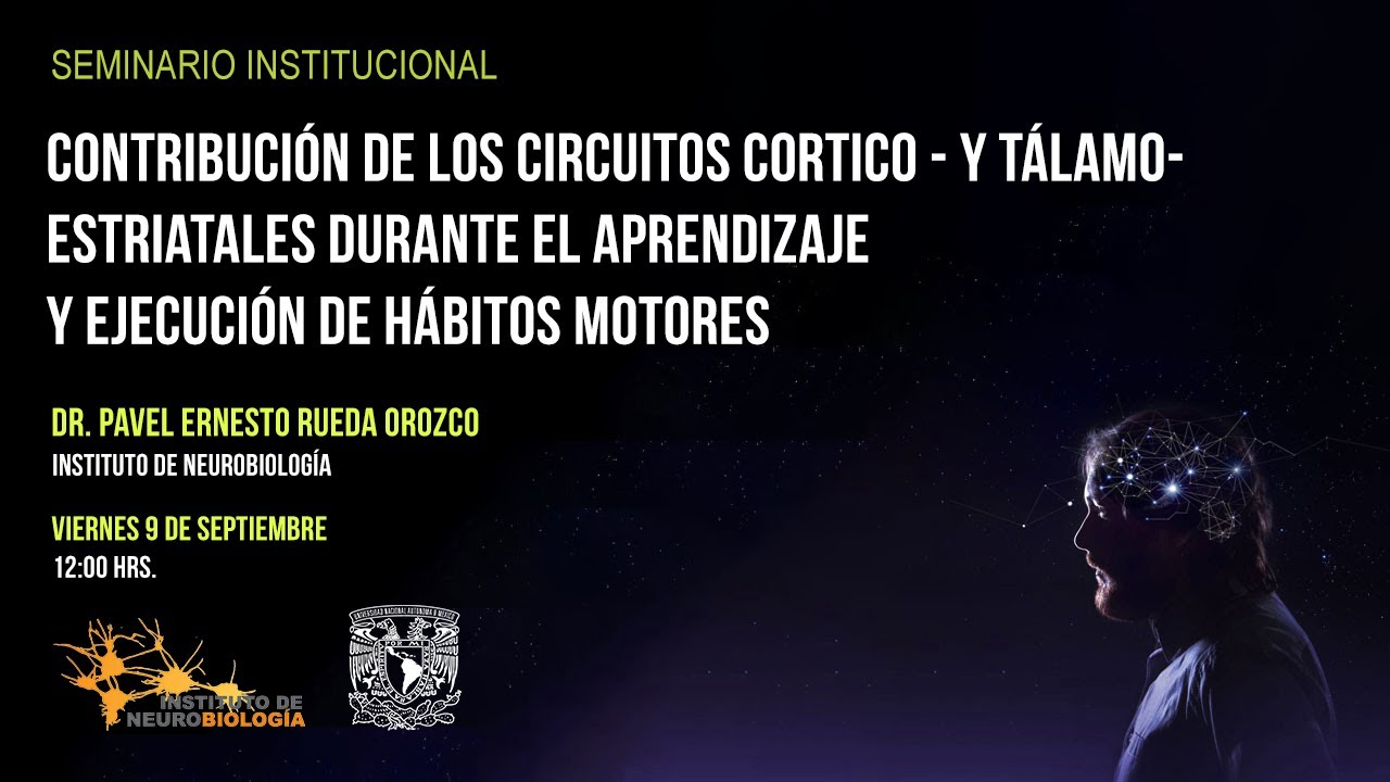 Contribución de los circuitos cortico- y tálamo-estriatales durante el aprendizaje y ...
