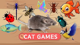 Cat TV ~ Mice, Butterflies, Balls, Crickets, Cockroaches..  1 HOURS  Cat Videos