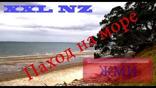 Поход Море Бухты Речка Пляжы Обрывы Окленд Новая Зеландия HD Поход Море Бухты Речка Пляжы Обрывы Окленд Новая Зеландия HD