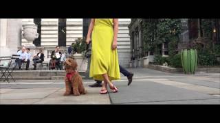 Spring Nyc Lookbook Ft. Sand By Saya New York発Sand By Sayaの春の新作サンダル