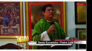 Homilia Padre Luis Toro Marcos 9