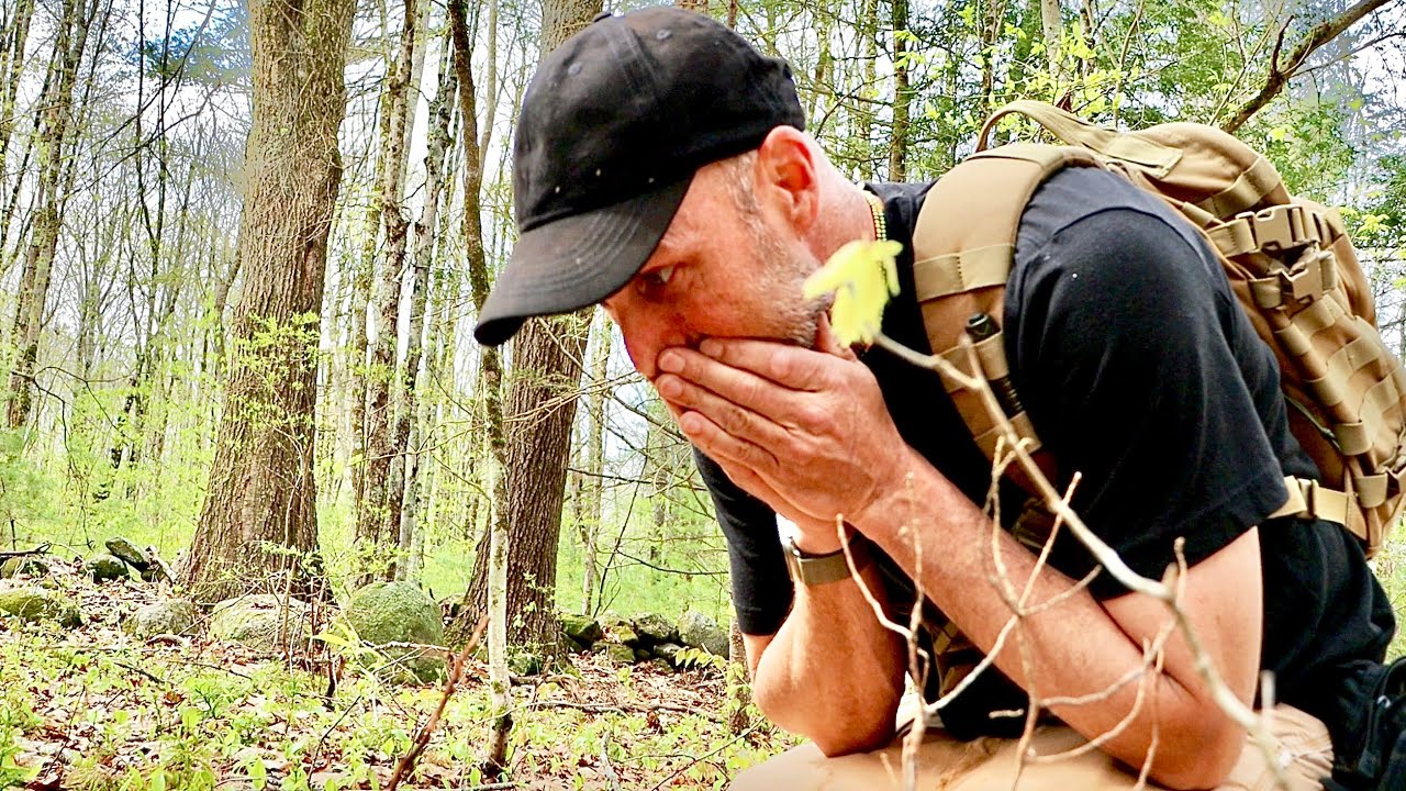 Кто-то давным-давно вывалил сюда карман, полный серебряных монет, и я только что их нашёл.