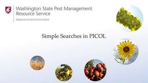 Quick Searches in PICOL