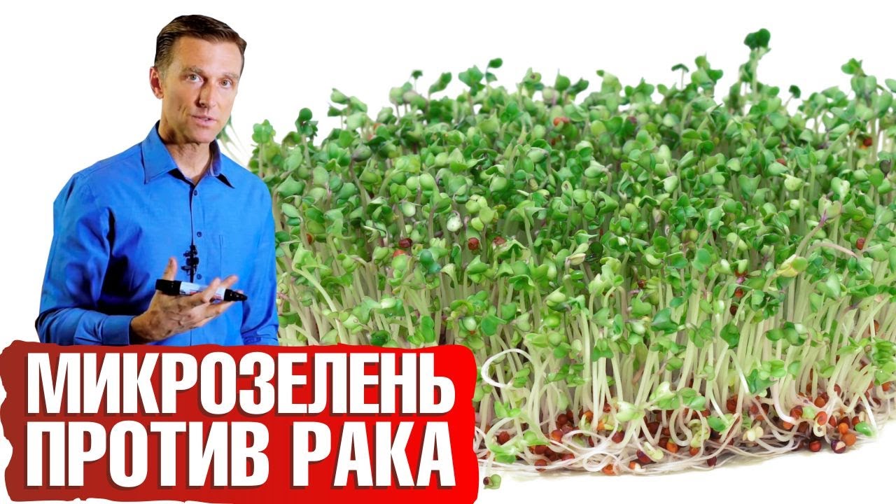 Супер еда против рака! Как микрозелень брокколи убивают раковые клетки