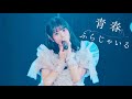 ドラマチックレコード-青春ふらじゃいる- (Live Music Video)