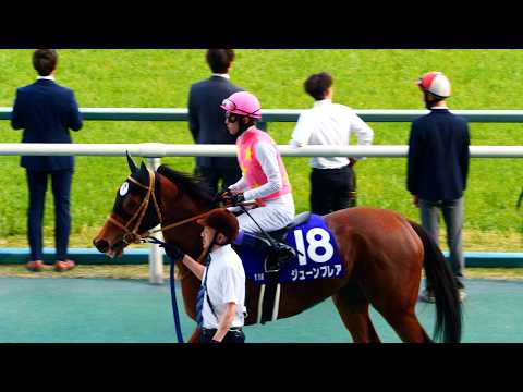 【武豊】レース回顧 高松宮記念ジューンブレア 乗り続けている馬たちの未来