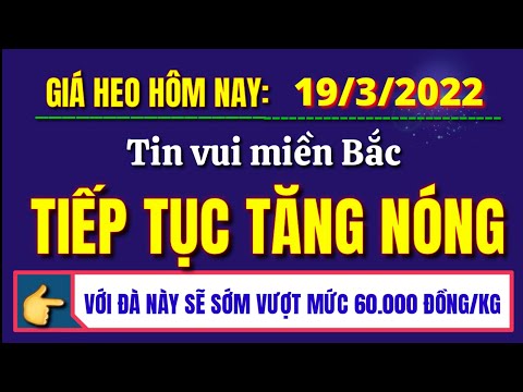 Video: Ngày nay Ojibwa sống ở đâu?