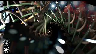 enthusiasticElectrons