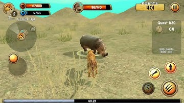 Wild Cheetah Simulator 3D - Android Gameplay