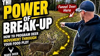 How to Program Deer Movement Through Your Food Plot