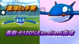 蓋歐卡100%Excellent 曲球 Pokemon Go ポケモンGO カイオーガ Kyogre  攻略法  エクセレント 定圈