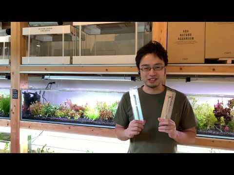 Fastest Aquarium Supplies Review ①] Testing the ADA Pro Brush