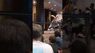 G-Fest 2025 costume contest Mothra! #gfest #godzilla #kaiju #fyp 