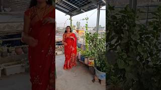 रानी हो tera लाया में लाल 💃 #yputube #ytsort #ytshaorts