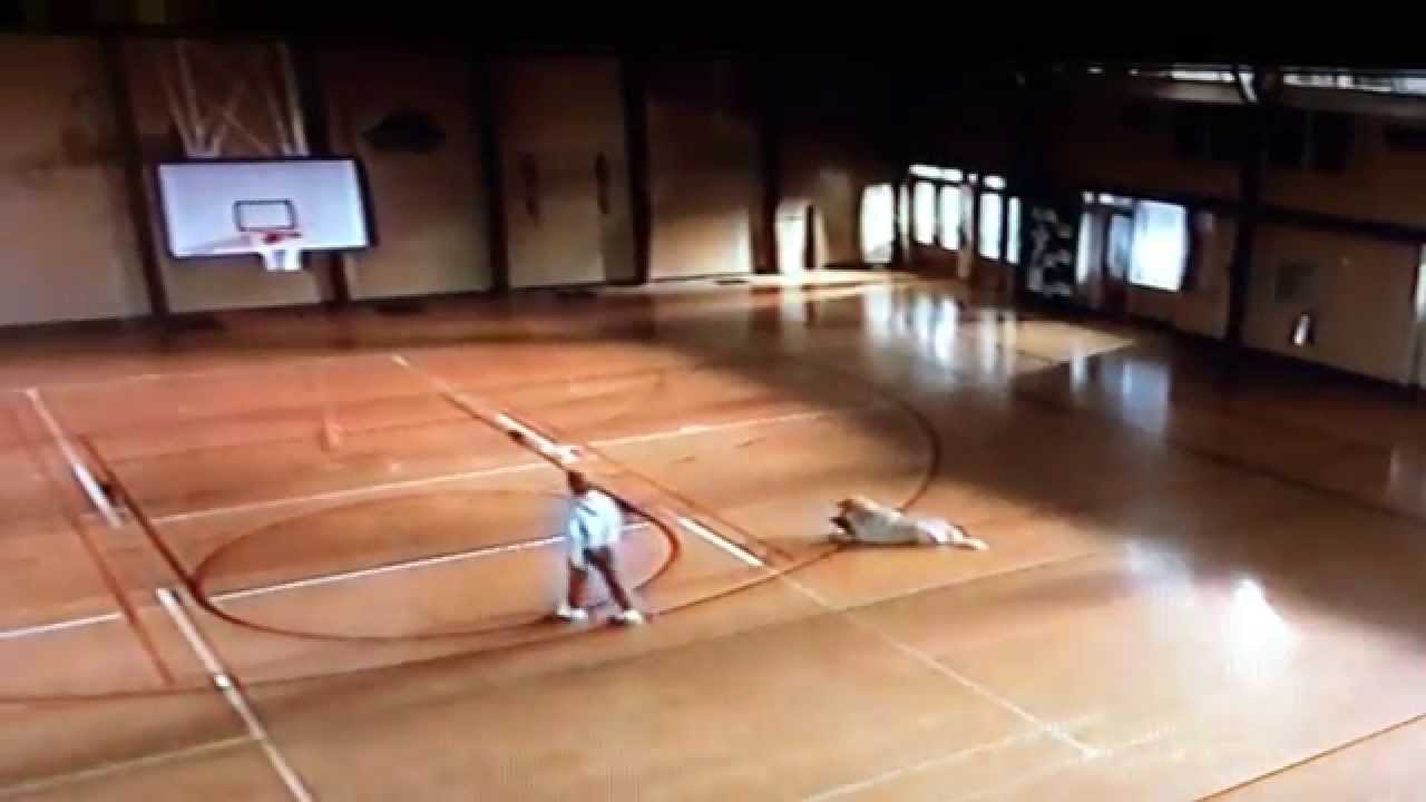 AIR BUD 1997 Scene Josh, Coach Chaney & Buddy YouTube