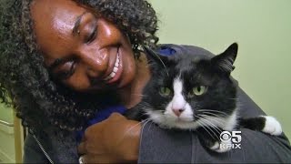 ICU (Intensive Cat Unit) Helps Patients Heal At UCSF