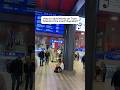 🇨🇿How to Get Cheap Train Tickets in the Czech Republic#CzechRepublic #TrainTravel #EuropeTravel 