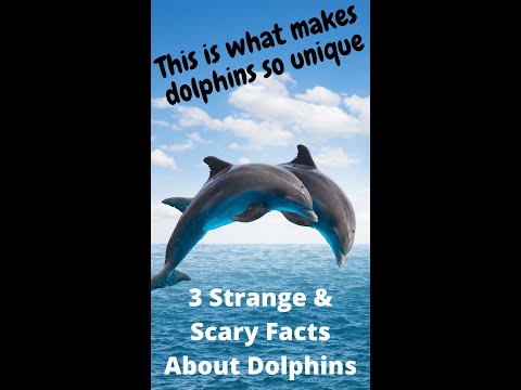3 Strange Facts