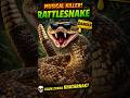 “Rattlesnake: Musical Killer Snake Jo Free Demo Nahi Chhodta! 😱🐍”