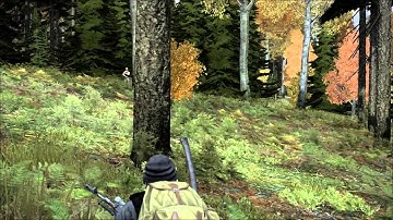 DayZ - Flashbang and grenade fails