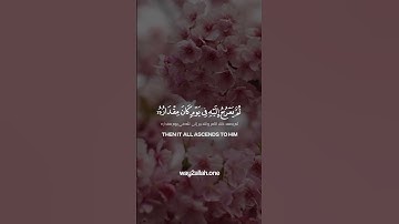يدبر الأمر من السماء إلى الأرض ✨ - سورة السجدة - إسلام صبحي