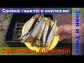 Салака горячего копчения. Как коптить рыбу в домашних условиях