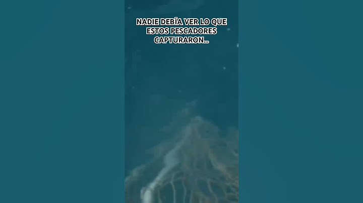 PESCADORES CAPTURAN CRIATURA DESCONOCIDA #pescadores #pescadoresdehombres #curiosidades #pesca