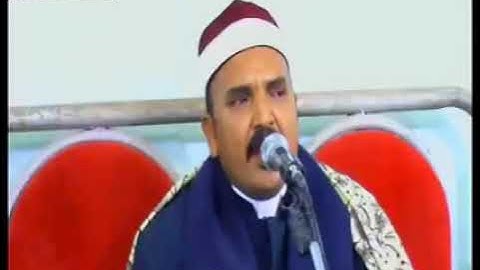 الشيخ علاء أبو عطية سورة القصص