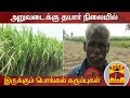 New video by Thanthi TV on YouTube