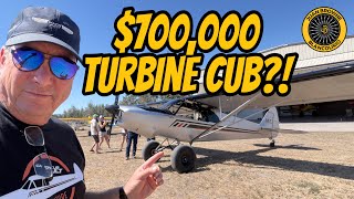 $700,000 Turbine Cub!?! Cubcrafters ULT Cub