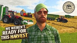 TWO MASSIVE HARVESTS - Cattle Ranch Part 12