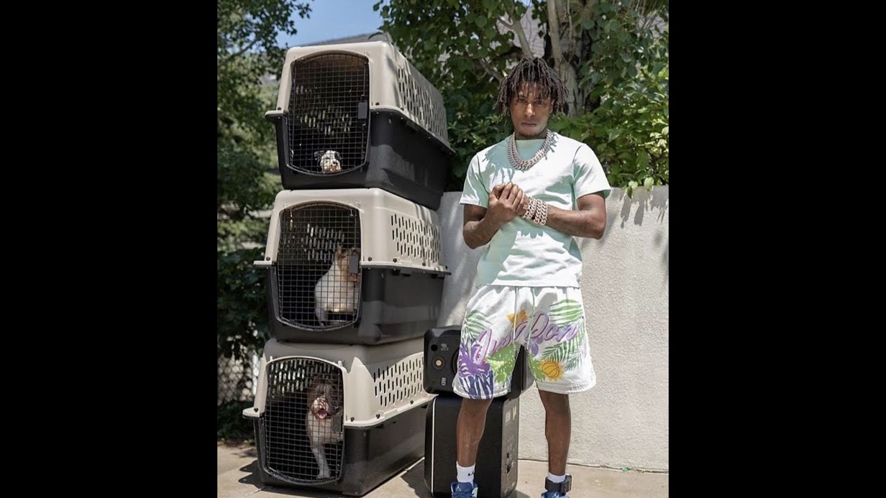 (FREE) NBA Youngboy Type Beat "Ok, Alright"