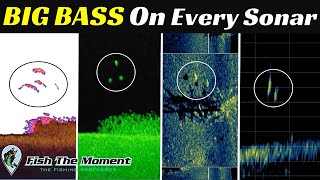 Pros DO NOT Want Me Sharing This Fish Finder Secret | Down Imaging, Side Imaging, 2D, Live Sonar