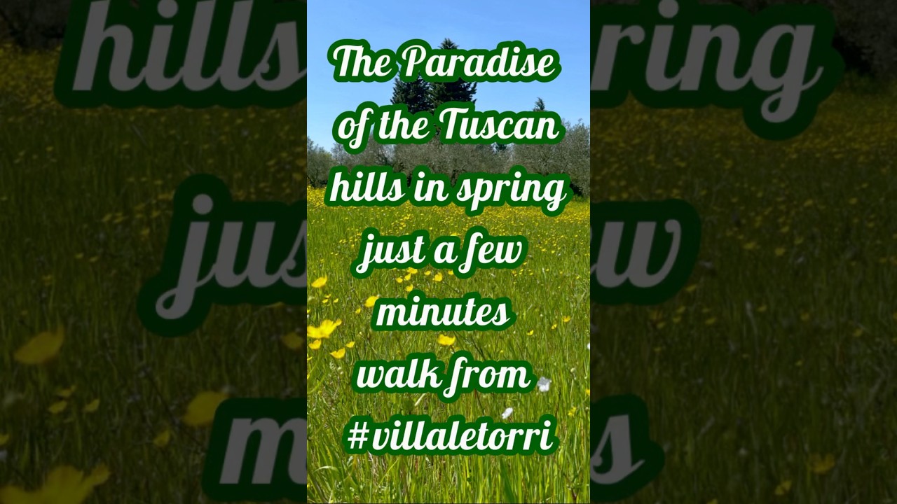 The magic of spring in Tuscany: colors, vineyards, and breathtaking landscapes walking VillaLeTorri