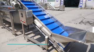 onion drying processing line