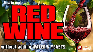 make RED WINE (GRAPE WINE रेड वाइन) at home without adding WATER & YEAST | Easy Homemade Wine