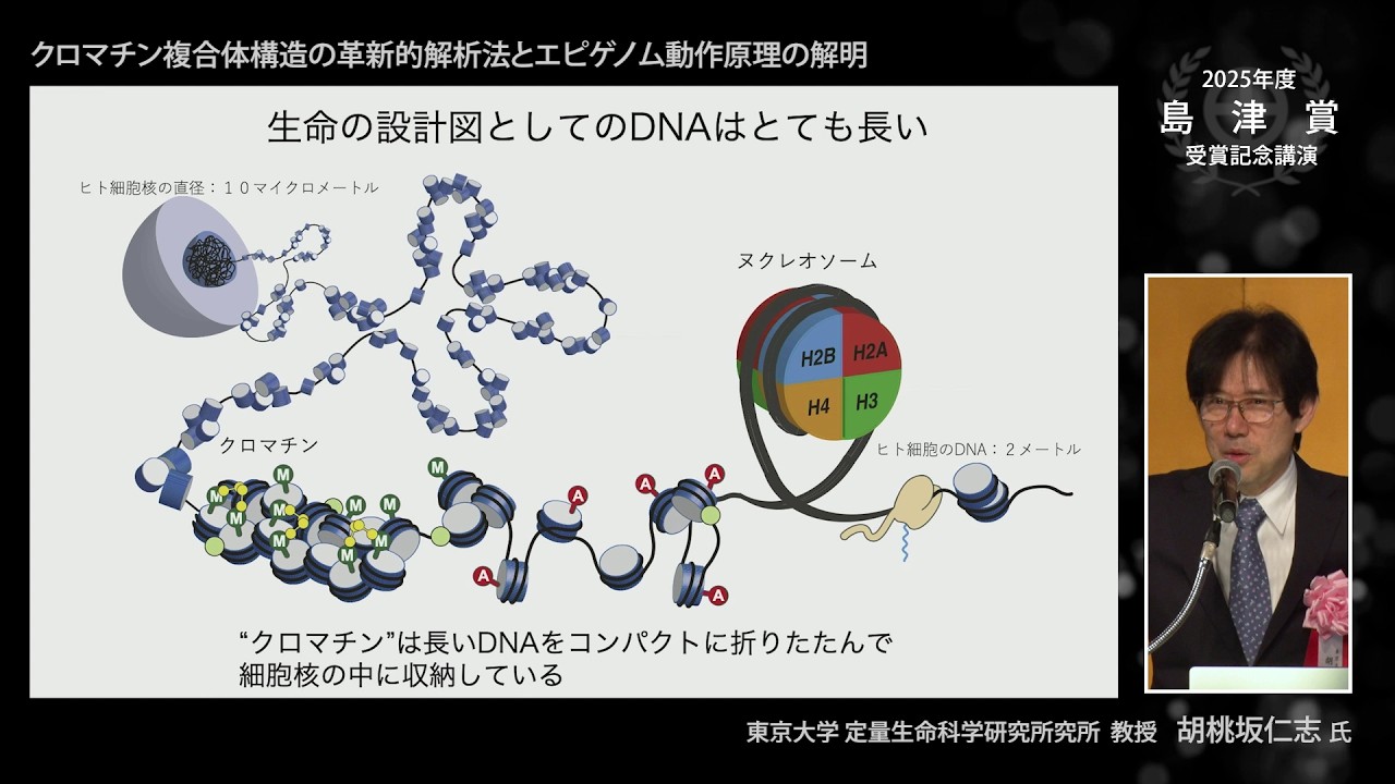 2025年度島津賞「クロマチン複合体構造の革新的解析法とエピゲノム動作