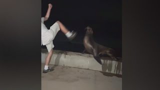 Teen in viral video kicking sea lion in San Diego pleads guilty